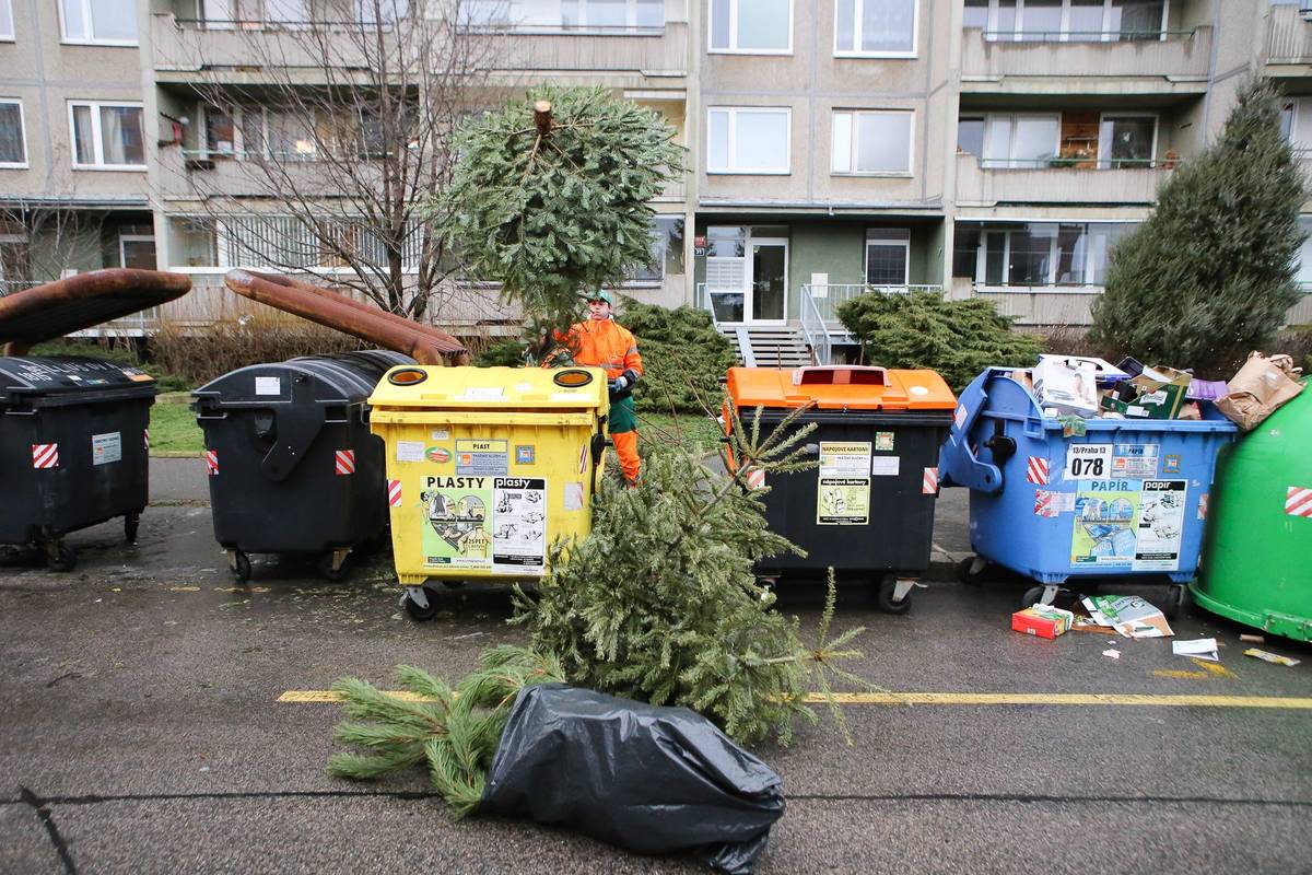 Je po Třech králích a česká sídliště se tradičně začínají zelenat více, než je obvyklé.