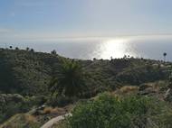 "Spíš jsme si uvědomili, že nechceme být křečci v kolečku, kteří pracují, jen aby zaplatili nájem," dodává Jonáš. Už několik let žijí komunitně na pozemku kanárského farmáře a lékaře Nona a o místním životě chtějí natočit dokument.