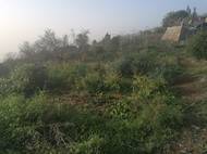 "Vše považujeme za výměnu energie, takže bych řekla, že máme všeho tolik, kolik potřebujeme," říká Ilona, která také fotí a točí pro jednu malou farmu, která exportuje ovoce do Evropy, a příležitostně si vydělává ještě PR a digitálním marketingem.