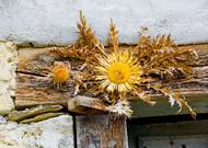 Baskové si na dveře věší eguzkilore, což v baskičtině znamená květ slunce. Je to suchý květ pupavy bezlodyžné, která roste na slunných a skalnatých úbočích hor. V baskické mytologii představuje slunce ochránce před zlými duchy a bouřemi. Eguzkilore je symbolem síly a odhodlání Basků, kteří v historii čelili mnoha výzvám, ale dokázali si zachovat svou jedinečnou kulturu a tradice.