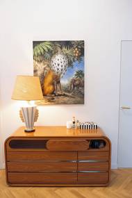 Kdo sem přijde, tomu utkví pozornost hlavně na komodě nebo barevných obrazech.