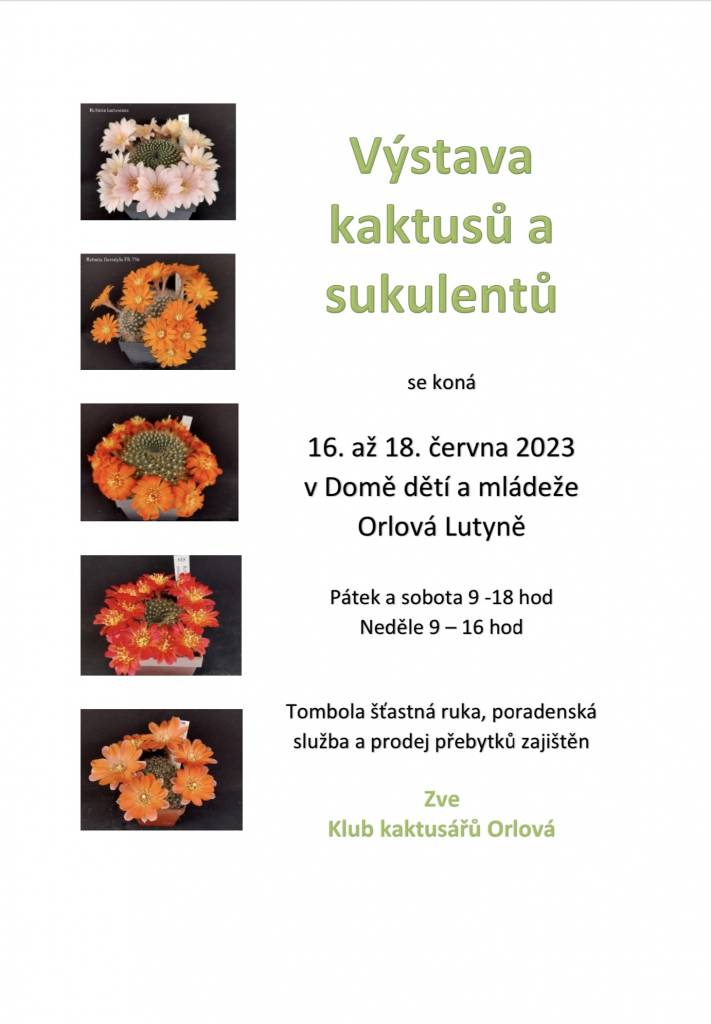 V DDM Orlová bude probíhat výstava kaktusů a sukulentů a to od 16. do 18. června 2023.

Otevírací doba výstavy:
Pátek a sobota 9 – 18 hodin
Neděle 9 – 16 hodin

Poradenská služba a prodej přebytků je samozřejmostí, těšit se můžete i na tombolu.
Nenechte si tuto krásnou podívanou ujít!...