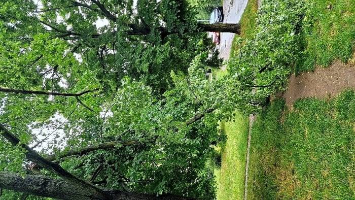 Stav změněn z HelpDesku Praha 14