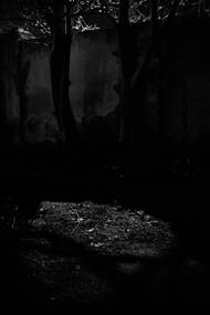 Ukázka ze série "Nocturno" fotografa Daniela Poláčka, která bude k vidění od 5. 9. do 30. 9. 2023 v prostorách kavárny Cafe Prostoru_ v Praze 6.