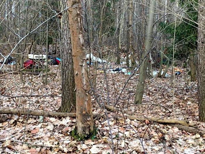 Děkujeme za upozornění. Váš podnět bude zaslán k provedení dalšího opatření vlastníkovi zmíněného pozemku a to na Povodí Odry s.p. Obec Staré Město není vlastníkem znečištěného pozemku.