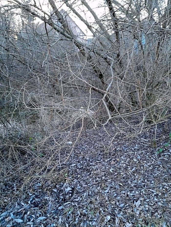 Děkujeme za podnět. Šetřením jsme zjistili, že jde o ornou půdu, která je pod ochranou Zemědělského půdního fondu. Jakákoliv nezemědělská činnost podléhá povolení podle zákona č. 334/1992 Sb. O ochraně zemědělského půdního fondu.