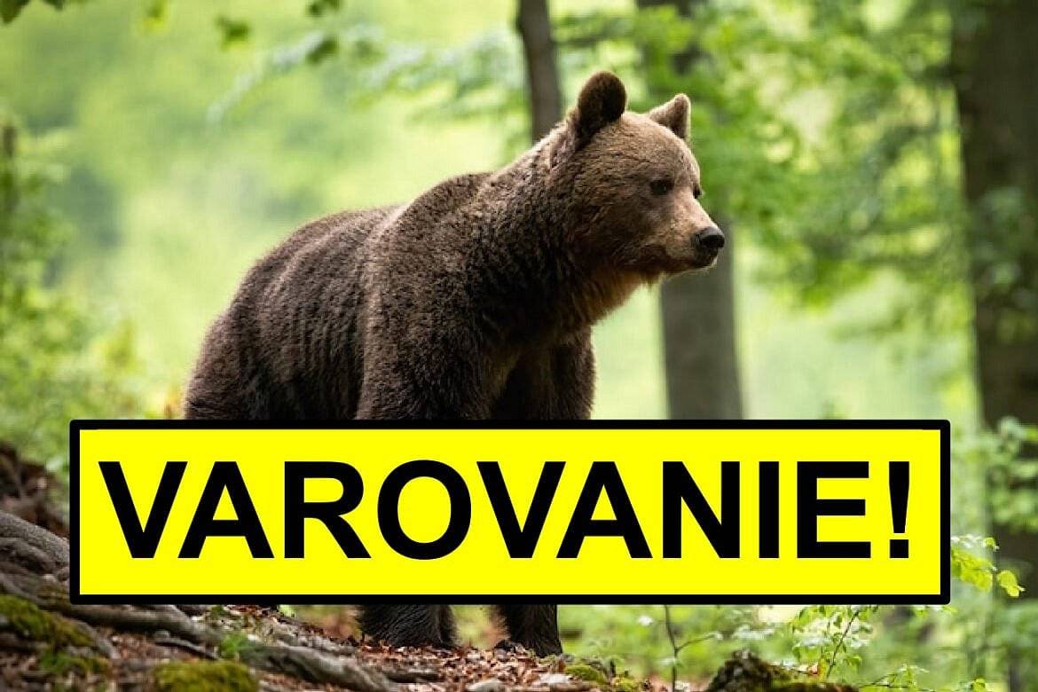 Vážení občania, 
dňa 25.06.2024 bola Okresným úradom v Prešove vyhlásená mimoriadna situácia v súvislosti s výskytom medveďa hnedého. Prosíme Vás, aby ste v prípade, že spozorujete medveďa hnedého bezodkladne informovali starostu obce alebo volali na obecný úrad na tel. číslo 0902 625 478. V prílohe nájdete, ako sa správať v oblasti s výskytom medveďa hnedého a Príkaz č. 6/2024 prednostu okresného úradu na vyhlásenie mimoriadnej situácie.
