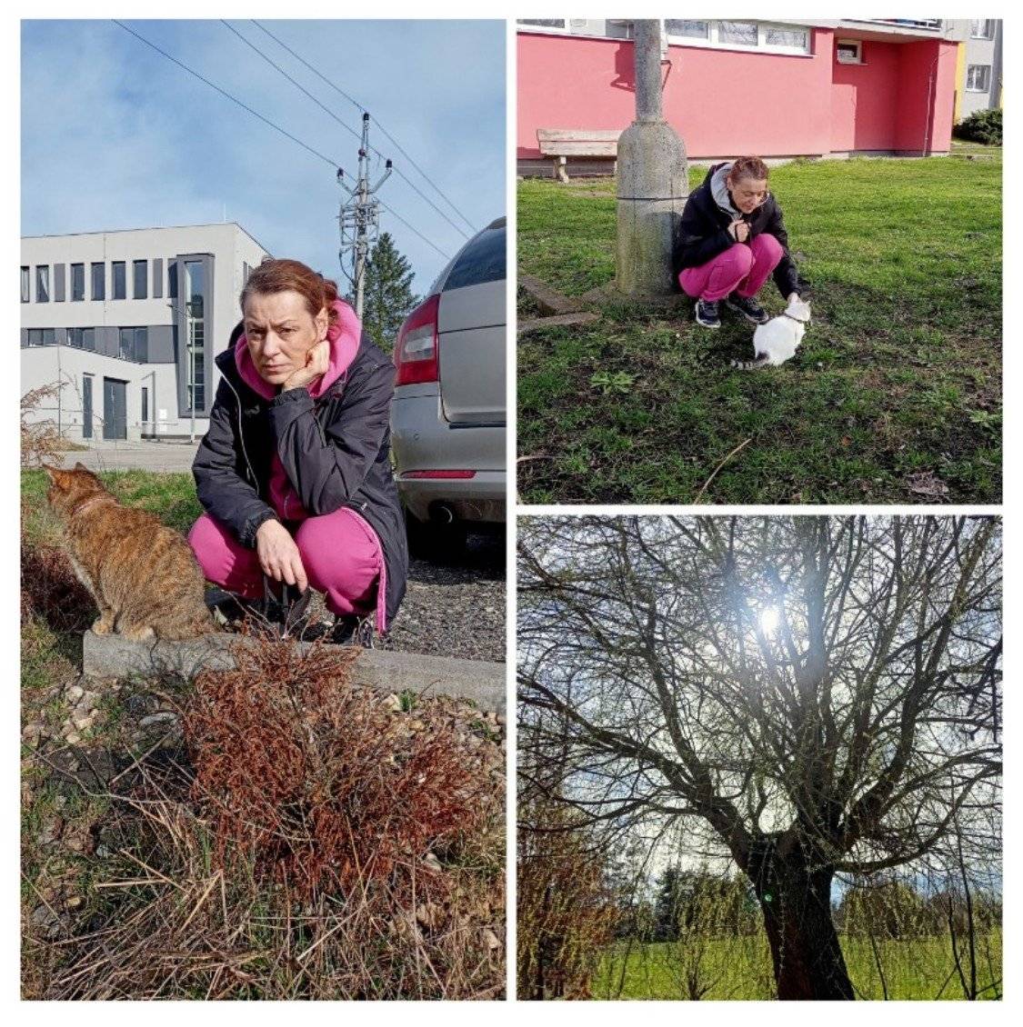 Zveřejnění informací k pohřešované osobě, kterou je LENKA RŮŽIČKOVÁ rok narození 1975, která odešla dne 29.7.2024 ze svého bydliště v obci Veselí nad Lužnicí a dosud se nevrátila a rodině o sobě nedala žádnou zprávu. Pohřešovaná žena je postavy vysoké 165 - 170 cm, hubená, hnědé vlasy se dvěma pruhy blond přelivu svázané do culíku černou gumičkou. Pohřešovaná má hubený obličej, hnědé oči, pod očima má tmavé kruhy. Na sobě měla tričko s krátkým rukávem hnědé barvy s bílým nápisem v bílým ornamentem v oblasti hrudi, pod tričkem podprsenku s vycpávkami šedé barvy, na nohou dlouhé kalhoty černé barvy a boty vel. č. 39 běžecké, černo - fialové barvy s černými tkaničkami. Přes záda může mít batoh, či tašku zelené barvy. Pohřešovaná trpí skoliózou, proto může být při chůzi předkloněná. Osoba je astmatičkou, avšak léky na astma a inhalátor u sebe nemá.V případě jakéhokoliv poznatku, či informacích k pohybu, či aktuálnímu výskytu pohřešované tyto neprodleně sdělte na linku 158 Policie České republiky, nebo na Obvodní oddělení Policie ČR Veselí nad Lužnicí na tel. čísle: 735 781 213