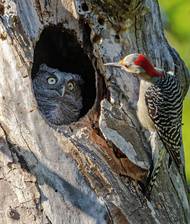 Ty ale nejsi moje máma!?