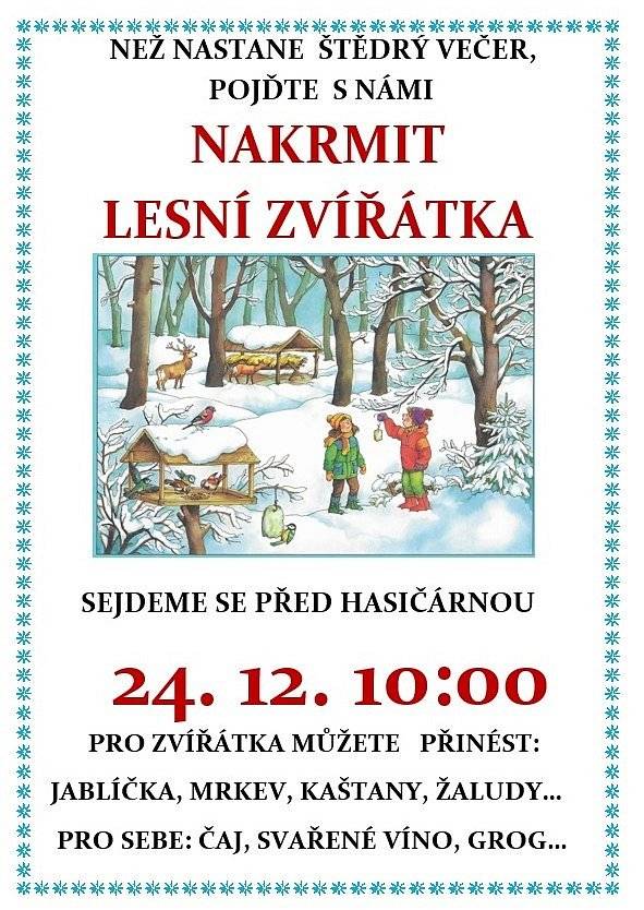 Přijďte na dopolední procházku... :-)