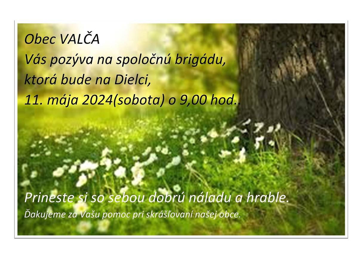 Obec Valča Vás pozýva na spoločnú brigádu, ktorá sa bude konať 11.5.2024 o 9.00 hod. na Dielci. Je potrebné si zobrať hrable. Ďakujeme, že nám pomáhate skrášľovať našu obec.