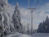 Mráz obalil elektrické vedení...