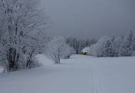 Vítejte v ledovém království.