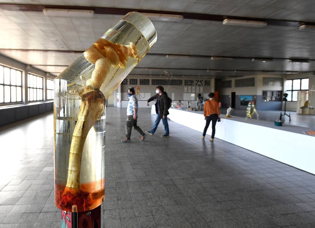 Snímek z výstavy Ko-laborace v Pragovce.