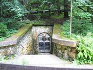 Bozkovské dolomitové jeskyně se nacházejí na severním okraji obce Bozkov ve svahu plošiny Na Vápenci.