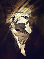 Chýnovská jeskyně je zároveň největším přírodním zimovištěm netopýra řasnatého v Evropě.