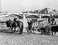 Mánesův most v Praze na snímku z roku 1938.