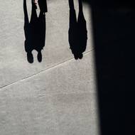 Červený střevíc (z Prašné brány, 17. června 2017)