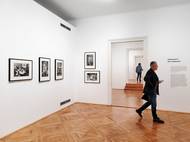 Pohled do výstavní síně v Domě U Kamenného zvonu na Staroměstském náměstí.