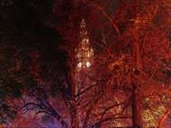 Vánočně osvětlený park před vídeňskou radnicí během prvního adventního týdne (listopad 2022).