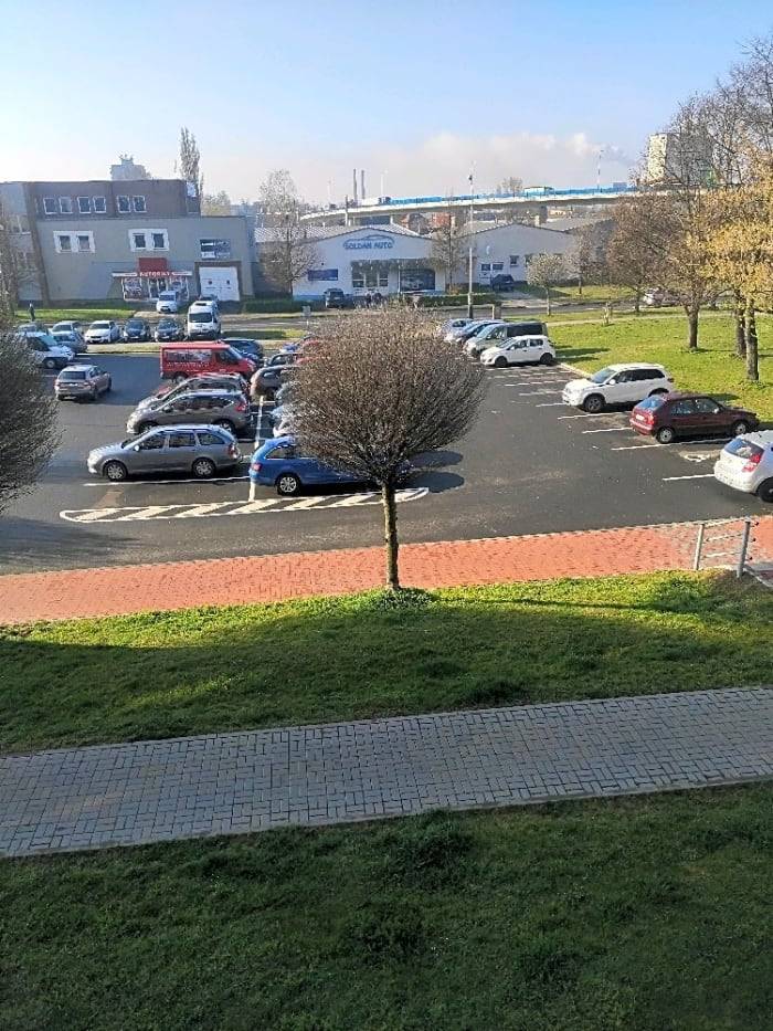 Suchá třešeň pokácena 15.5.2023.