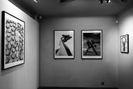 Pohled do výstavních prostor pražské Leica Gallery, kde nyní vystavuje uznávaný módní fotograf Lukáš Dvořák.
