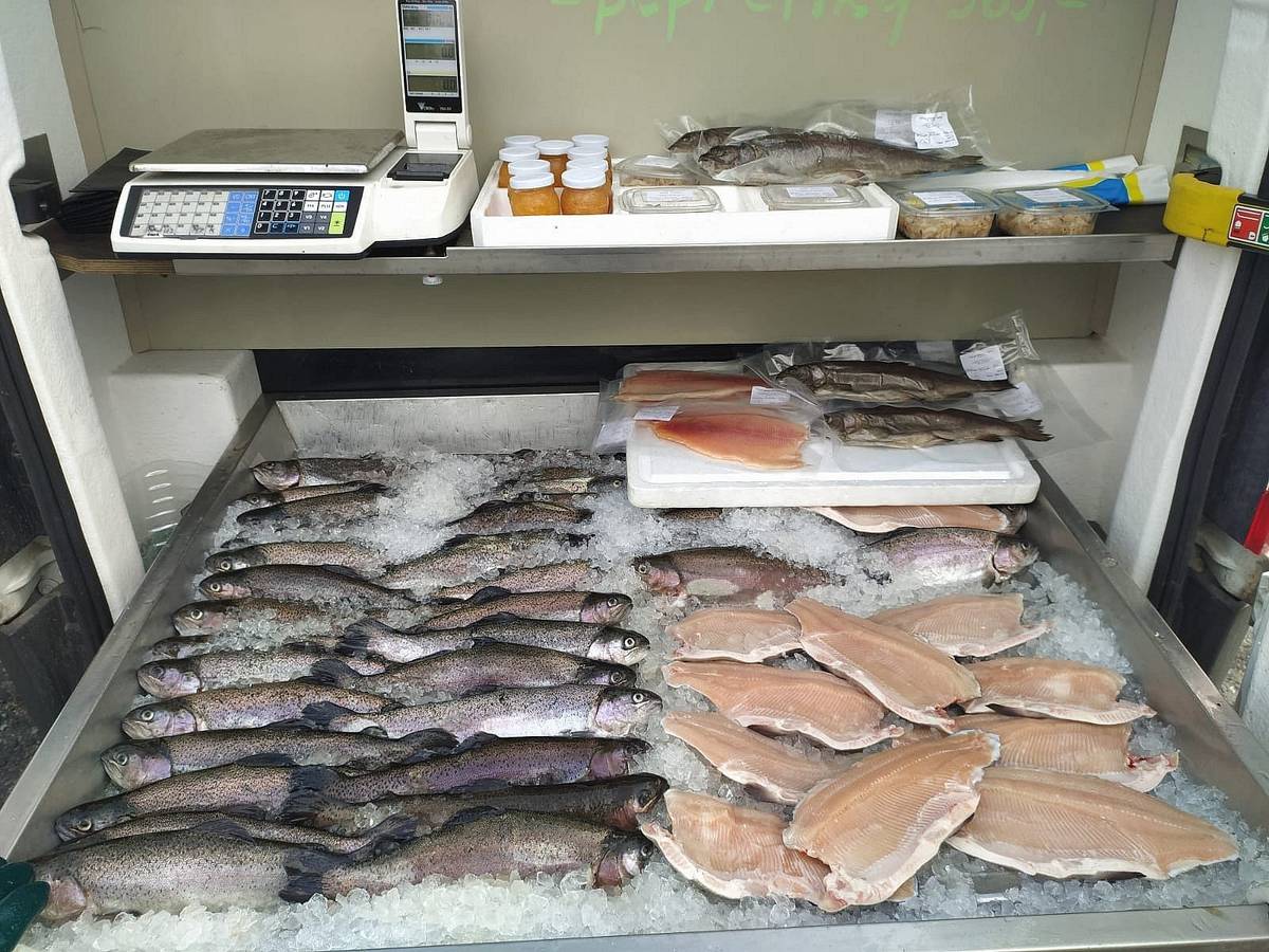 Tento čtvrtek 28. března v 14.30 Vám Pstruhařství
Dolní Babákov přiveze čerstvé chlazené pstruhy z vlastního chovu. V nabídce budou pstruzi kuchaní, uzení, saláty a další rybí výrobky.