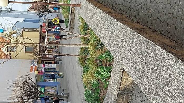 Dobrý deň, 
koly boli odstránené.