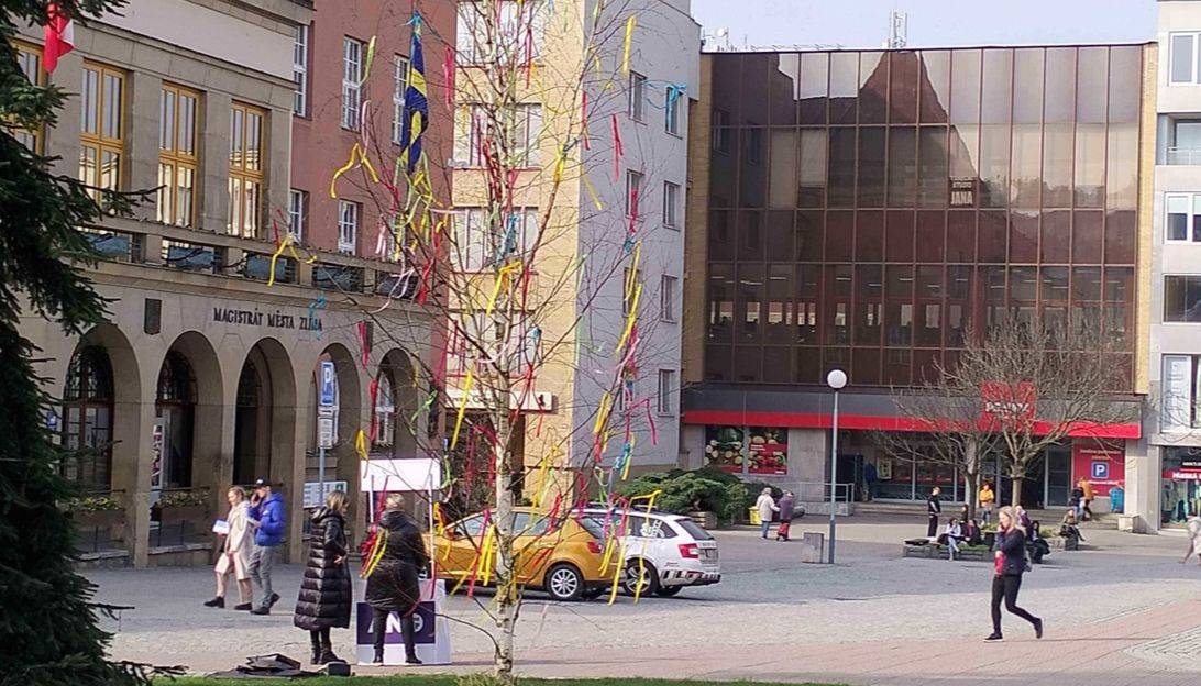 Zlín – Odbor městské zeleně zlínského magistrátu přispěl k založení nové tradice. Od letoška bude velikonoční atmosféru ve Zlíně umocňovat Velikonoční strom. Nazdobená bříza, která pochází z městských pozemků, je ukotvena na trávníku poblíž radnice. V květnu ji nahradí už tradiční májka.