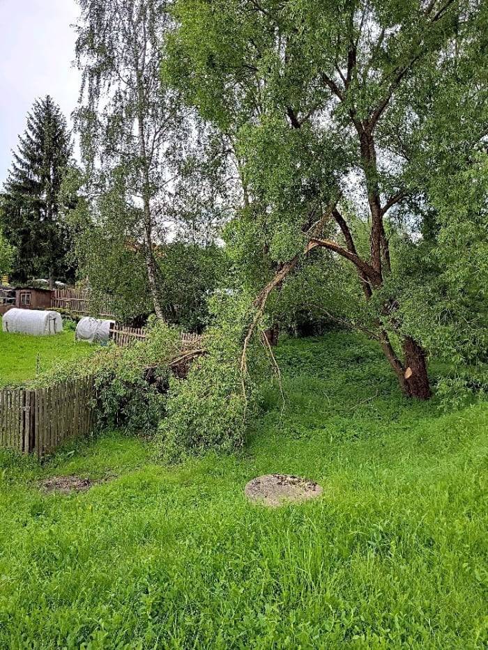 Závada na zeleni odstraněna. Děkujeme za  podnět.