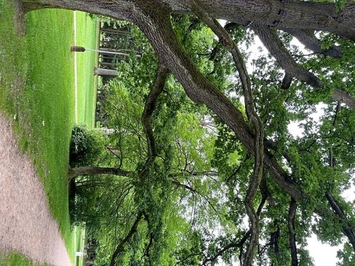 Strom byl upraven, děkujeme za podnět.