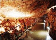 Javoříčské jeskyně byly vytvořeny v ostrůvku devonských vápenců a na jejich vývoji se významně podílel i potok Špraněk.