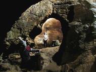 Koněpruské jeskyně patří v Českém krasu k nejcennějším biotopům přísně chráněných druhů letounů – netopýrů a vrápenců.