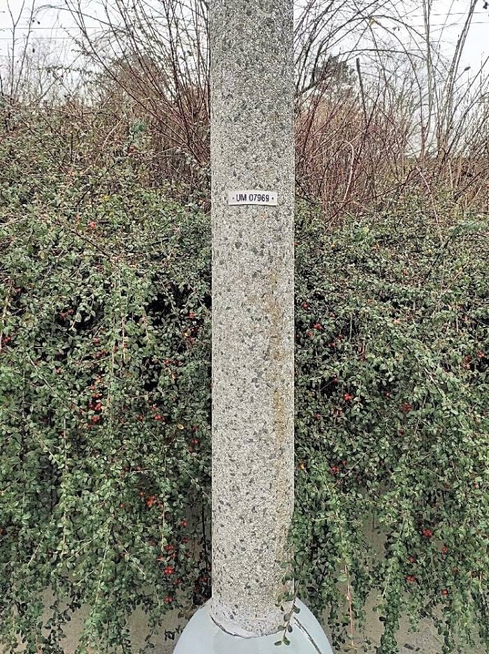 Dobrý den paní Janoušková,
Veřejné osvětlení bylo opraveno. 
Děkujeme za podnět. S pozdravem Marešová