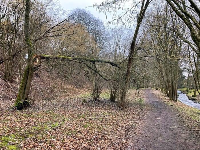 Děkujeme za podnět, zlom v koruně stromu bude odstraně