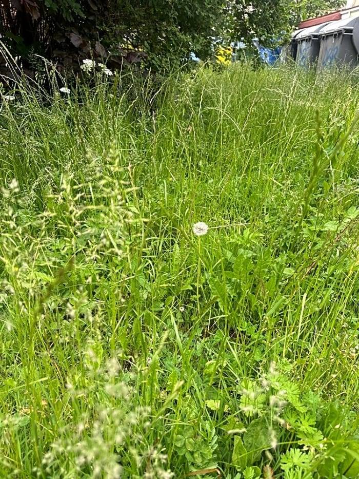 Dobrý den, v sekání postupujeme podle určeného harmonogramu sečí, mnoho častých srážek nás nyní trochu zbrzdilo, ale jakmile počasí dovolí pokračujeme dál. Děkujeme za trpělivost a pochopení.