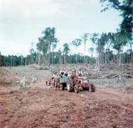 Na uvolněném prostoru založili pole. Jones už v předchozím sídle sekty začal radikálně měnit její směřování. Zavrhl učení Bible a stal se z něj manipulátor, který se svým stoupencům snažil vymýt mozky.