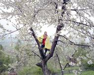 Anna Grzelewska, fotografie z cyklu Julia wannabe, 2015. Snímky polské fotografky sledují dospívání její dcery Julie. Světový fotografický magazín Lens Culture zařadil Annu Grzelewskou mezi 50 největších nových talentů roku 2015.