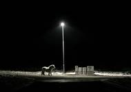 Martin Faltejsek, z cyklu Suburbia, 2017. "Mám rád temno-temnou noc, protože věcem, které za denního světla vypadají obyčejně, dává zcela jinou moc. Situace a věci, které zřetelně vídáme dennodenně, pak vypadají daleko méně jednoznačně," říká autor snímků. Projektu se věnuje od dubna 2016.