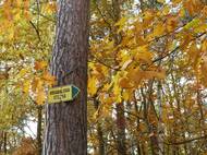 Po spisovatelových stopách v Kersku se vydávají s oblibou turisté z celé republiky. Od roku 2014 vede Kerskem značená Naučná stezka Bohumila Hrabala, na níž zájemce čeká 13 zastavení.