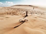 Písečné duny ve Sloviňském národním parku poblíž letoviska Łeba.