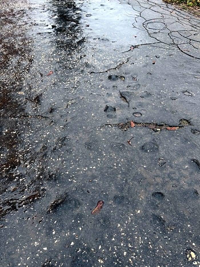 Zasílám vyjádření správce komunikací: „Není to jediný chodník, který v rámci města je potřeba předláždit do nové zámkové dlažby.  Souběžně s tímto chodníkem, který je za bytovým domem U Rejdiště č.p. 3725 až 3732,  vede podél cesty z přední strany bytového domu chodník, zrekonstruovaný před cca 4.lety do nové zámkové dlažby, který lze také využít. Nicméně jsme zadali zpracování investičního záměru opravy chodníku z litého asfaltu i za domem, kdy předložíme opravu chodníku k zařazení  do návrhu rozpočtu na rok 2024.“