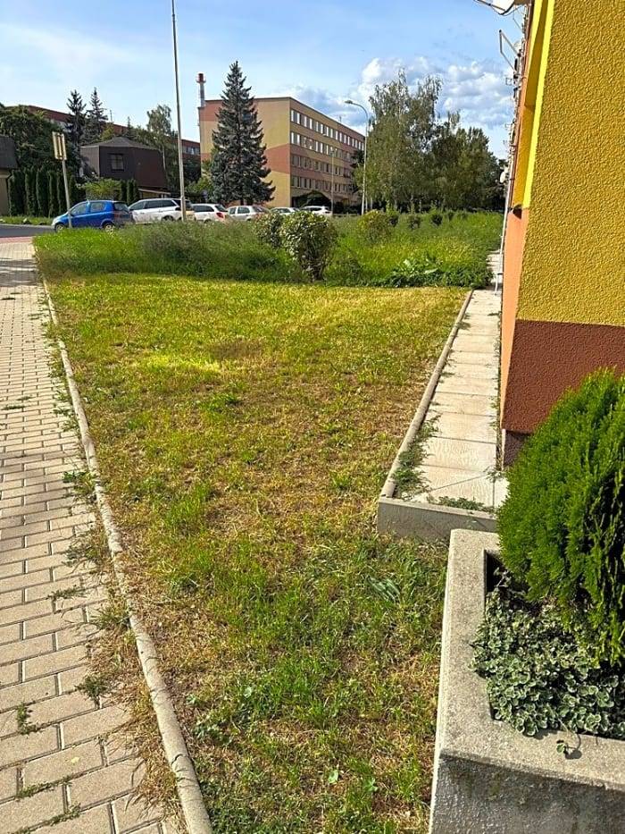 Dobrý den, děkujeme za nahlášení. Tráva v této lokalitě je přerostlá vzhledem ke druhu, který je tam nejvíce zastoupený (vojtěška), jinak v celém sídlišti tráva přerostlá není. Sídliště se bude sekat dle plánu koncem příštího týdne a to již po čtvrté. S pozravem. T.Cekota, ředitel TS