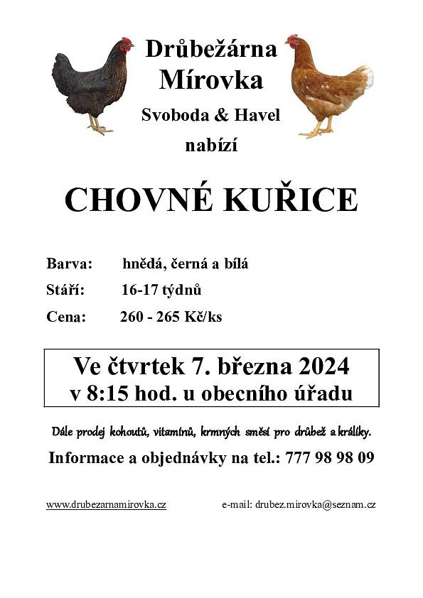 Ve čtvrtek 7. března probehne v obci u OÚ od 8:15 hod. prodej nosných kuřic, více v příloze.