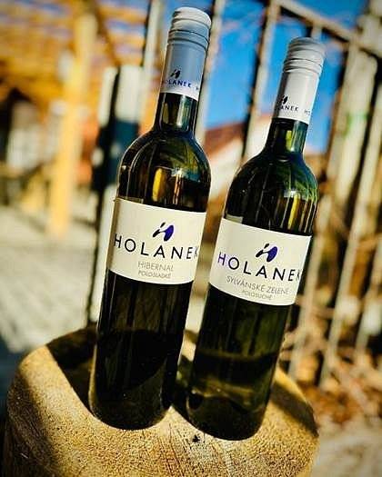 Vinařství Holánek bude prodávat vína, a to ve ČT 15. 2. od 15:30 - 15:50 na náměstí. V akci polosladký Hibernal za 150 Kč a polosuché Sylvánské zelené za 120 Kč.