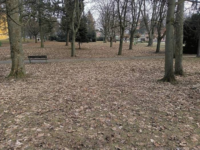 O tomto problému víme, už nás o tom nemusíte informovat. Listí v parku budeme odklízet, až bude sušší počasí, teď určitě ne. Děkujeme za pochopení.