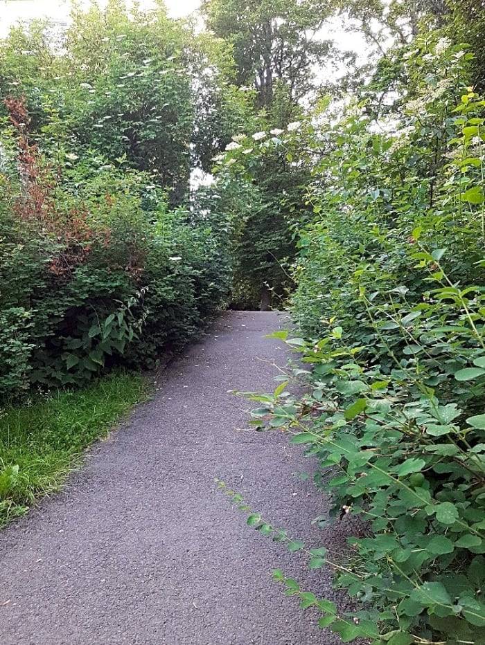 Dobrý den, keře ostříhány .TDS