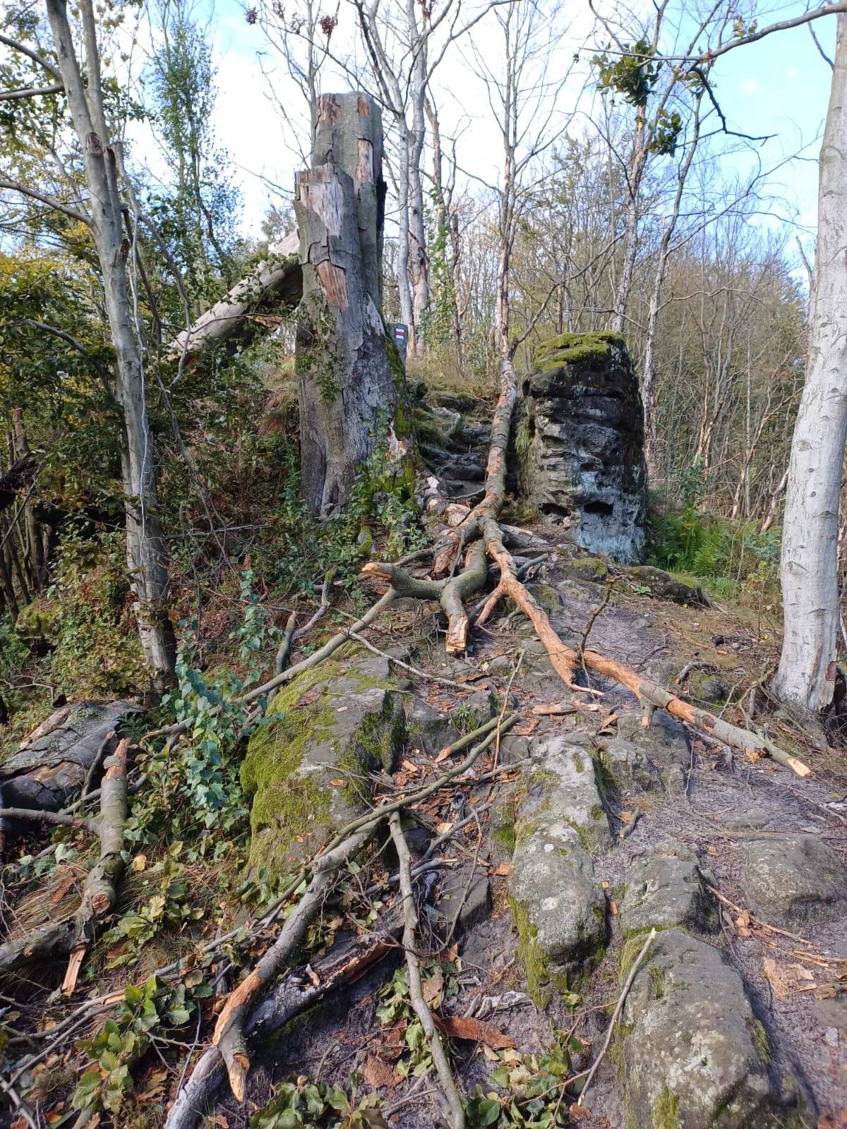 Dobrý den,
Zasíláme vám důležité upozornění:
 
 
Z  důvodů kalamitního stavu je s okamžitou plaností do odvolání uzavřena červená TZT mezi Mezní Loukou a Dubákem (odbočka k Malé Pravčické bráně)
https://mapy.cz/s/hovulafucu
 
Děkujeme za pochopení a  šíření této informace dál.
 
Mgr. Dana Štefáčková
referent oddělení veřejných vztahů
 
Správa Národního parku České Švýcarsko
Pražská 457/52
407 46 Krásná Lípa
Mobil: 702 117 891, 737 276 859
E-mail: d.stefackova@npcs.cz
www.npcs.cz