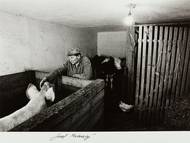 Pavel Jasanský: Z cyklu Podepsané, 70. léta.