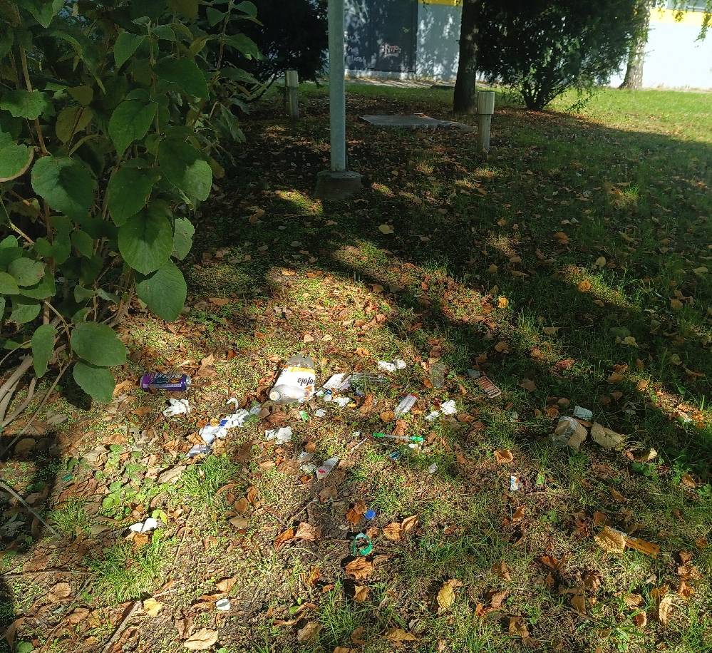 Dobrý den,

lokalita byla uklizena k 27.9.2024.

S přáním hezkého dne Ing. Pavel Foltý